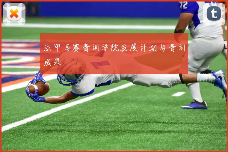 法甲马赛青训学院发展计划与青训成果